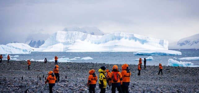 Le coût d’une croisière en Antarctique : quel budget prévoir pour cette aventure unique ?